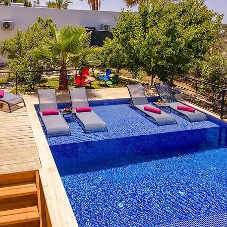 Mehmet Apt Suite 3
